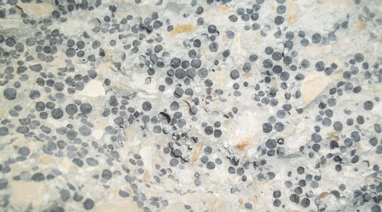 Image: Bétons légers et isolants